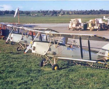 VH-WET heads this line of Ag Tigers at Cootamundra 1962.